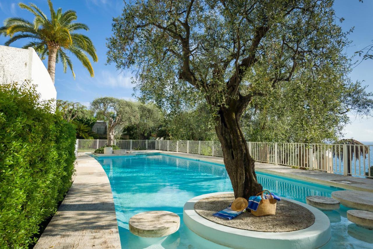 Ferienwohnung Les Oliviers Ueber Den Daechern Von Ruhig Sonnig Meerblick Pool Tiefgarage Parkplatz * Nizza